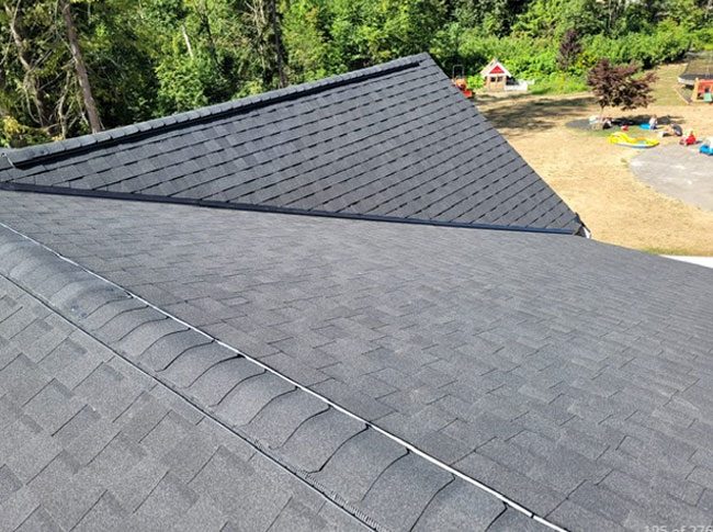 maple ridge roofing